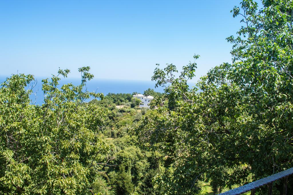 Adilon Hotell Tsagaráda Rom bilde